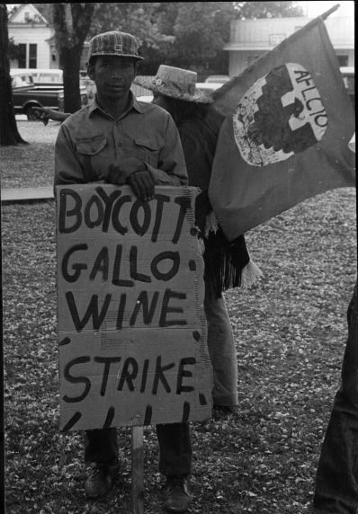 (3695) Gallo Boycott, demonstrator (3695) Gallo Boycott, demonstrator